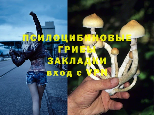 2c-b Алзамай