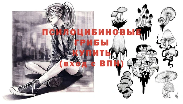 2c-b Алзамай