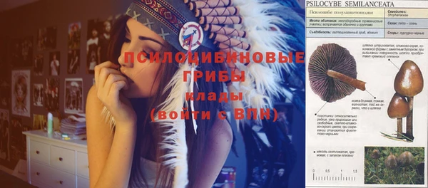 первитин Алексин