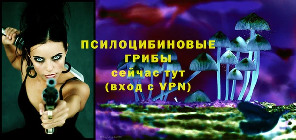 метамфетамин Алексеевка