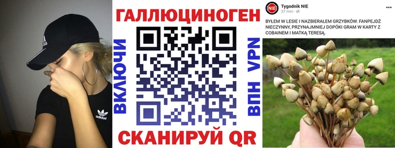 Галлюциногенные грибы мухоморы  наркотики  Луза 